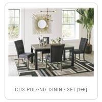 COS-POLAND  DINING SET (1+6)
